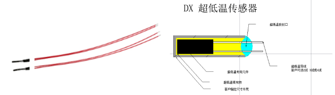 R01系列超低温传感器 上海维连电子