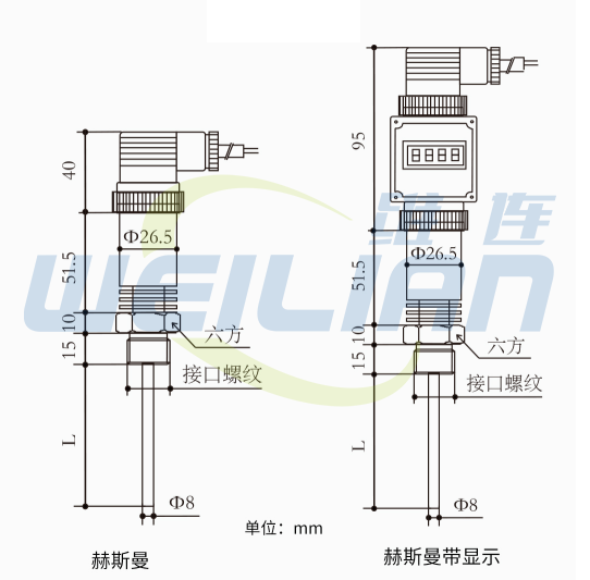 T14系列铂电阻温度传感器 上海维连电子