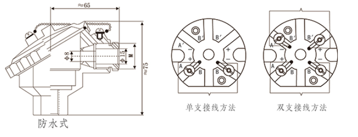 T10系列防爆型铂电阻温度传感器接线盒外形 上海维连