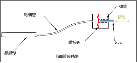 灯泡和毛细管温度传感器 维连电子