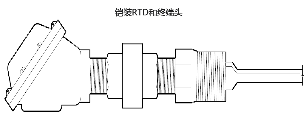 铠装RTD和终端头 维连温度传感器