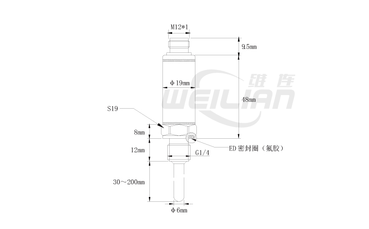 紧凑型温度传感器工业PT100温度传感器 尺寸图 威廉温度传感器