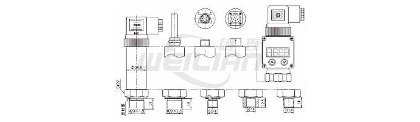 p210高性能压力变送器 维连压力变送器